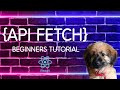 REACT JS   BEGINNER API FETCHING USING AXIOS