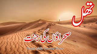 Thal Desert Documentary I Sahira E Thal I Saraiki Cultur I Saraiki Waseeb I Thal Punjab History