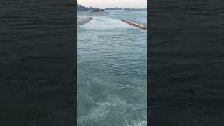 #viral#trending#vedio#bheemgoda#barage#haridwar