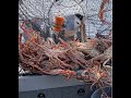 Monster Crab Catch in Alaska! Learn How to Go Crab Fishing. #crab #fishing #catchcrab