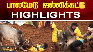 பாலமேடு ஜல்லிக்கட்டு HIGHLIGHTS! | Palamedu jallikattu 2024