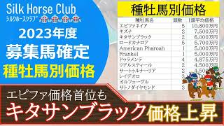 【一口馬主】キタサンブラック産駒価格上昇！ロードカナロア産駒を超えてきた。キズナ産駒の評価が高い。