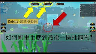 Roblox 健身模擬器 如何剛重生就馬上到最後一區抽寵物 Fitness Simulator How to get pets in the last area right after rebirth