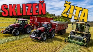 Sklizeň Žita 2024 | Krone BigX 650 + John Deere \u0026 Case IH \u0026 Massey Ferguson