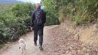 悶悶哋帶埋EG仔去行山🐶🏞🏞🏞