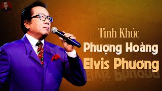 ELVIS PHƯƠNG TÌNH KHÚC PHƯỢNG HOÀNG BẤT HỦ ĐỂ ĐỜI