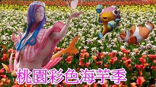 Taoyuan Calla Lily Festival ~ 2021桃園彩色海芋季(海洋奇芋記) * 市長蒞臨開幕式 @小美人魚舞群青春熱力放送