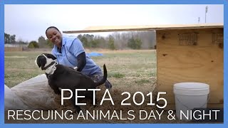 PETA’s Animal Shelter and Field Team: Rescuing Animals Day and Night in 2015