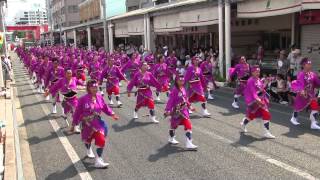 第62回よさこい祭り(2015/8/10)「安芸 東陣」