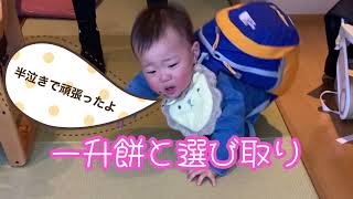 【1歳】お祝い行事😊一升餅と選び取り✨無事に終わったかな？One year old celebration 成長記録