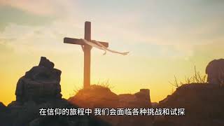 耶稣说：“手扶着犁向后看的，不配进　神的国。”路加福音 9:62理解