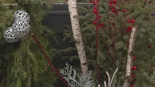 'Burn or bag wreaths' after discovery of invasive bugs in evergreen holiday decor