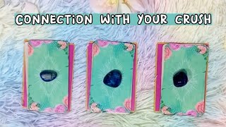 Crushနဲ့ ချစ်သူ​တွေဖြစ်နိုင်မလား?Connection with your crush💕