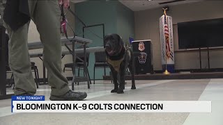 Electronic detection K9 donated to Bloomington Police Department