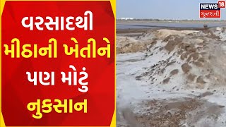 Bhavnagar News: વરસાદને લીધે મીઠું પકતવા અગરિયાઓને નુક્સાન | Rain | Salt Damage | News18 Gujarati