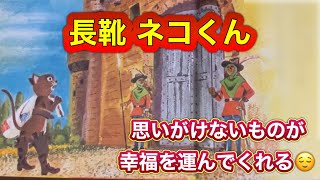 【知恵で 逆 玉の輿‼️】『長靴 猫くん』恐るべき策士‼️