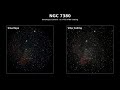 smarteye vs codex vibe coding comparison