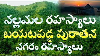 నల్లమల అడవిలో పురాతన నగర రహస్యాలు /Secrets in Nallamala Forest//Nallamala Forest Mystery//Telugu inf