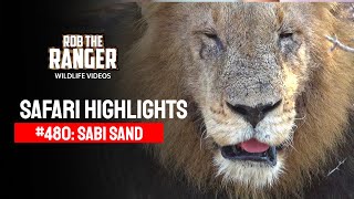 Safari Highlights #480: 06 - 10 August 2017 | Sabi Sand Nature Reserve | Latest #Wildlife Sightings