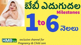 1- 6 నెలలు మీ బేబీ గ్రోత్ లో ఇవన్నీ ఉండాలి! Milestones 1 to 6 months | HMBLiv Pregnancy \u0026 Child care