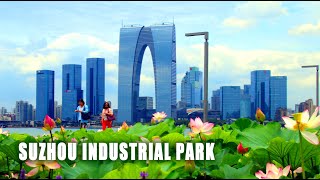 Drive Tour in Suzhou Industrial Park|苏州工业园区|金鸡湖畔崛起的现代化新城