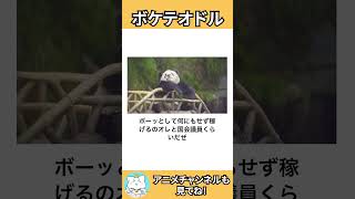 【ネコガミ】動物でボケテオドルPart281 #ボケて