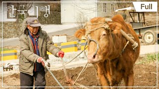 [Full] 한국기행 - 진도 - 제1부 그 섬에 보배로운 땅이 있었네