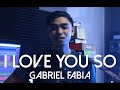 I Love You So (cover) - Gabriel Fabia