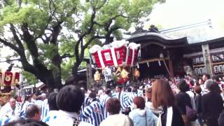 2013.10/20 石切秋季大祭 辻子太鼓台 宮入