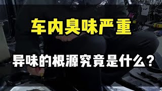 车子开久了头晕恶心这是什么原因呢?进口奥迪车内臭味都是来自什么地方呢？