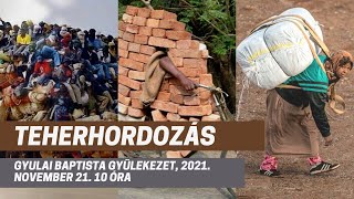 Teherhordozás