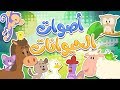 أغنية أصوات الحيوانات | قناة مرح كي جي - Marah KG
