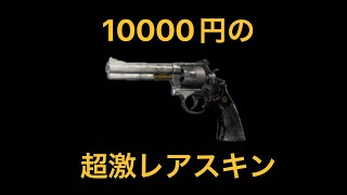 【R6S】超絶激レアスキン！？10000円する高額迷彩「グレイシャー」！