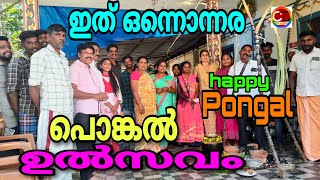 ഇത് ഒന്നൊന്നര പൊങ്കൽ ഉൽസവം / #happy pongal / #cdvlog  / #pongal thamil fesitivel