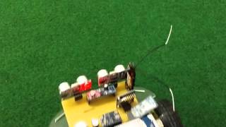 Test Rasenroboter \