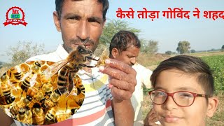 desi honey / मधुमक्खी के छत्ते से शहद कैसे निकालते हैं गांव के लोग / village life vlogs