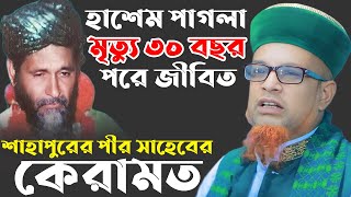 হাশেম পাগলা মৃত্যু ৩০ বছর পরে জীবিত হওয়ার ঘটনা। পীর মোবারক হোসেন জালালী / Bangla waz 2025