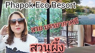 Phapok​ Eco​ Resort​ | ผาปก​ รีสอร์ท​ บรรยากาศ​ดีมาก​ | ครัวม่อนไข่​ อร่อยทุกเมนู Vlog.สวนผึ้ง​