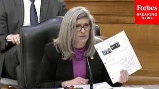 Joni Ernst confronts Biden nominee with "GARBAGE" he tweeted