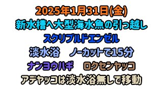 2025年2月2日