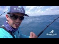 fishing for dinner fish in miami 4k