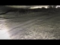 Djuma Private Game Reserve Live Stream Djuma Private Game Reserve Live Stream