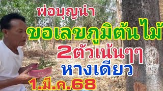 พ่อบุญนำ.เลขต้นไม้2ตัวเน้นๆๆหางเดียว1.มี.ค.68