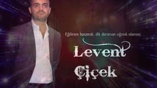 Levent çiçek