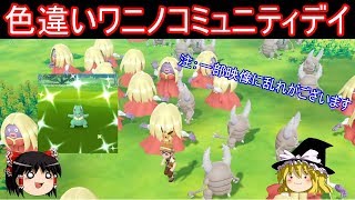 【ポケモンGo】色違いワニノコミュニティデイですってよ【ゆっくり実況】