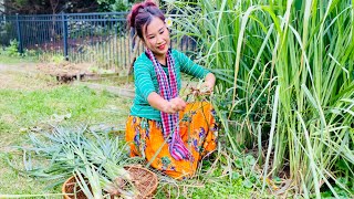 Grow A Ton Of Lemongrass at Home Khmer Lemongrass Kreung Paste | Best Lemongrass Cutting Processor