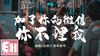 你的大表哥曲甲 - 加了你的微信你不理我『不想再看淚水打濕你的臉頰，所以chose me hey。』【動態歌詞Lyrics】