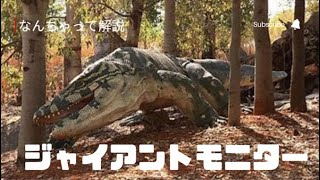 1分で分かる　未確認生物　ジャイアントモニター