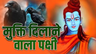 राम ने किस पक्षी को दिया वरदान। ये पक्षी दिलाता है मुक्ति । Ram and story of Bird Crow #thekarma