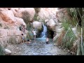 ein gedi עין גדי